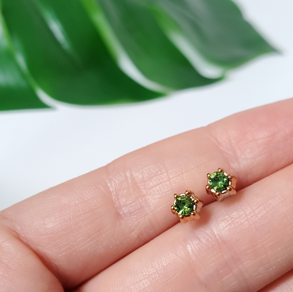 Hypoallergenic Plastic Studs Earrings - Picture 2 of 3